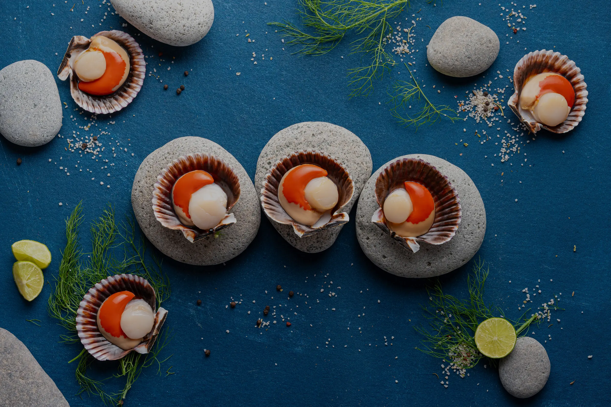 Media Valva Tallo Coral